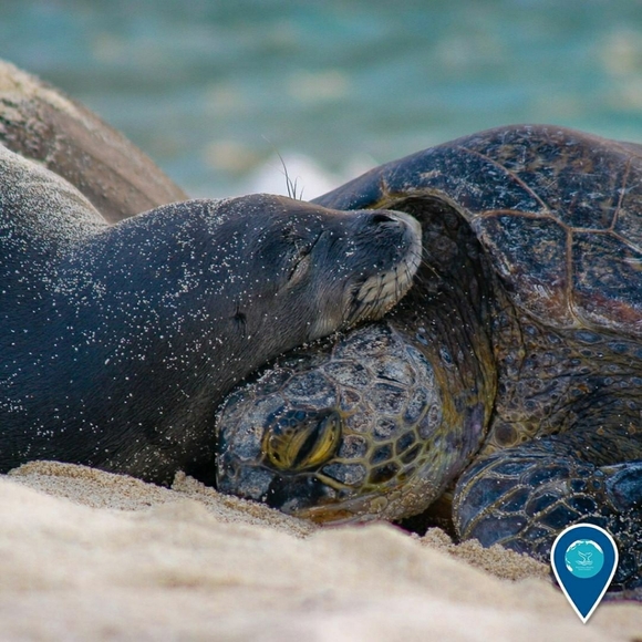 Meet your Posher, Noe! - Picture 4 of 5